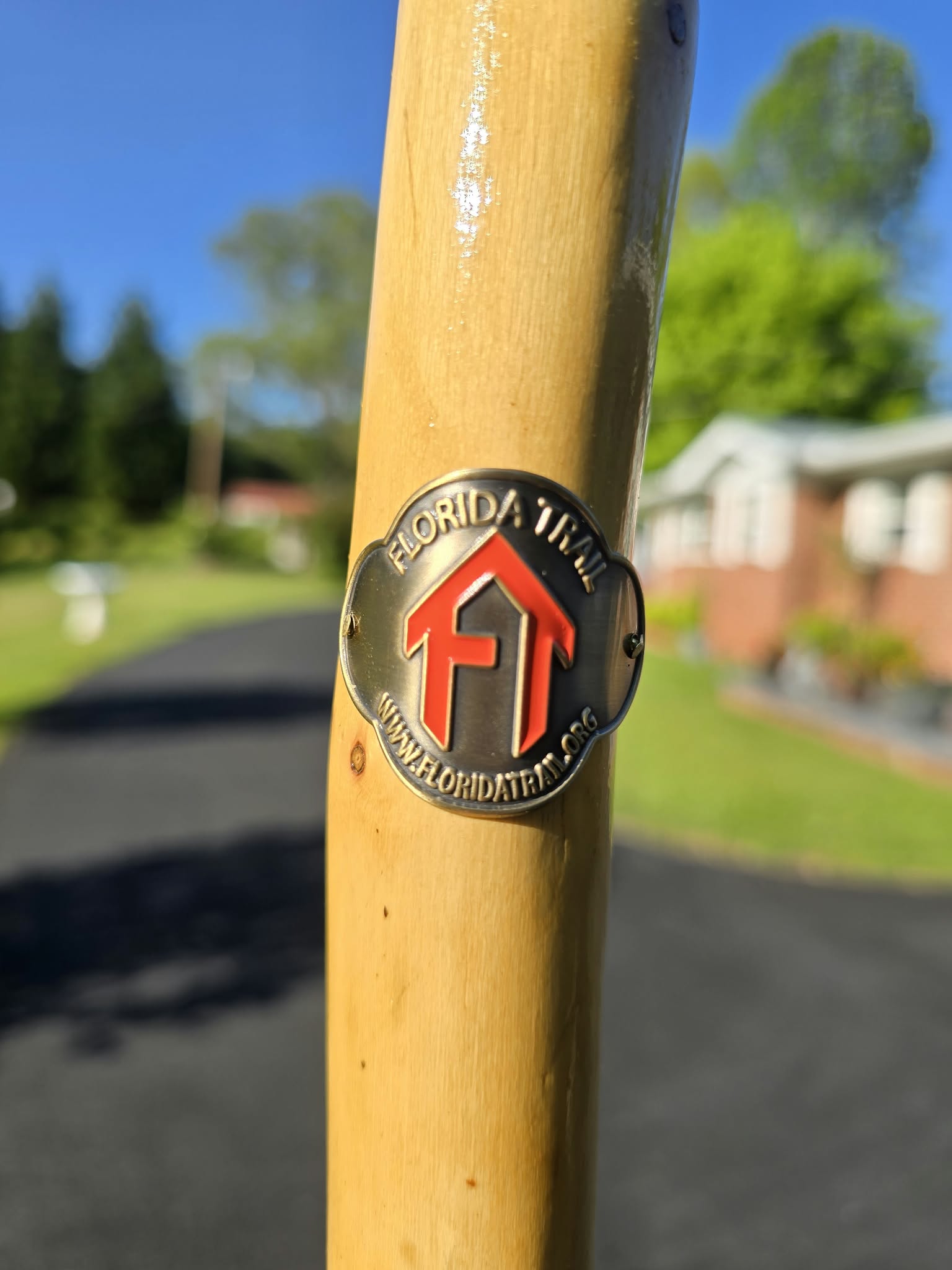 FT Hiking Stick Medallion - Image 2