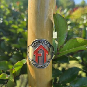 FT Hiking Stick Medallion