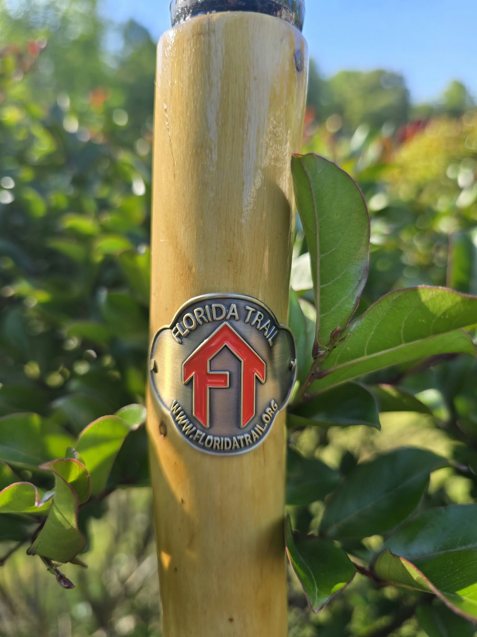 FT Hiking Stick Medallion