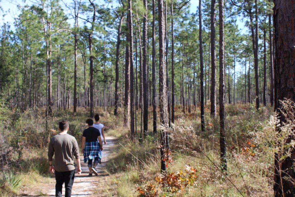 Thru Hike – Florida Trail Association