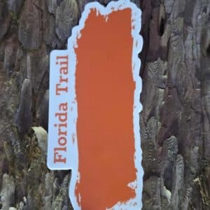 FT Blaze Sticker 4" X 2"